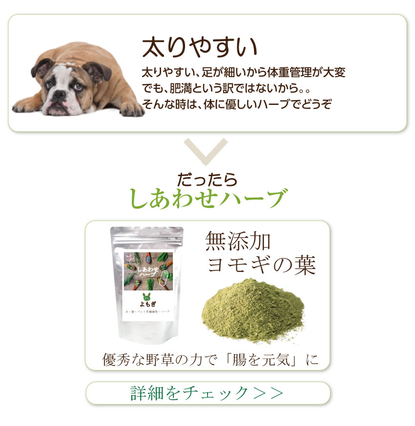 ���Y���E�L�@�E�p�Z��