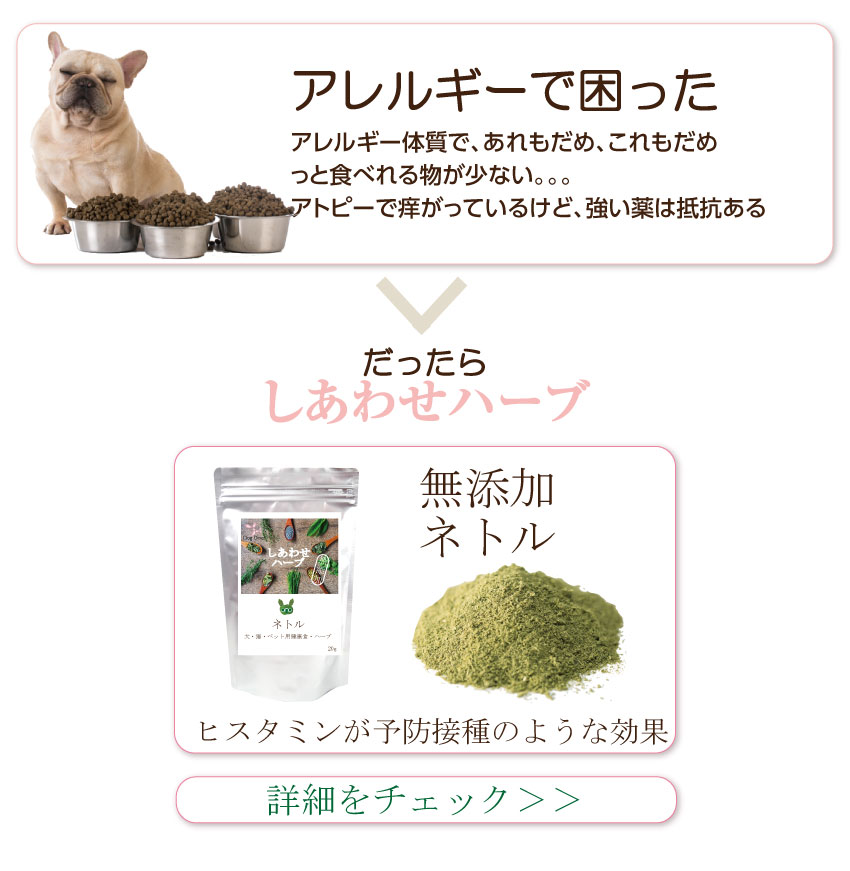 ���Y���E�L�@�E�p�Z��