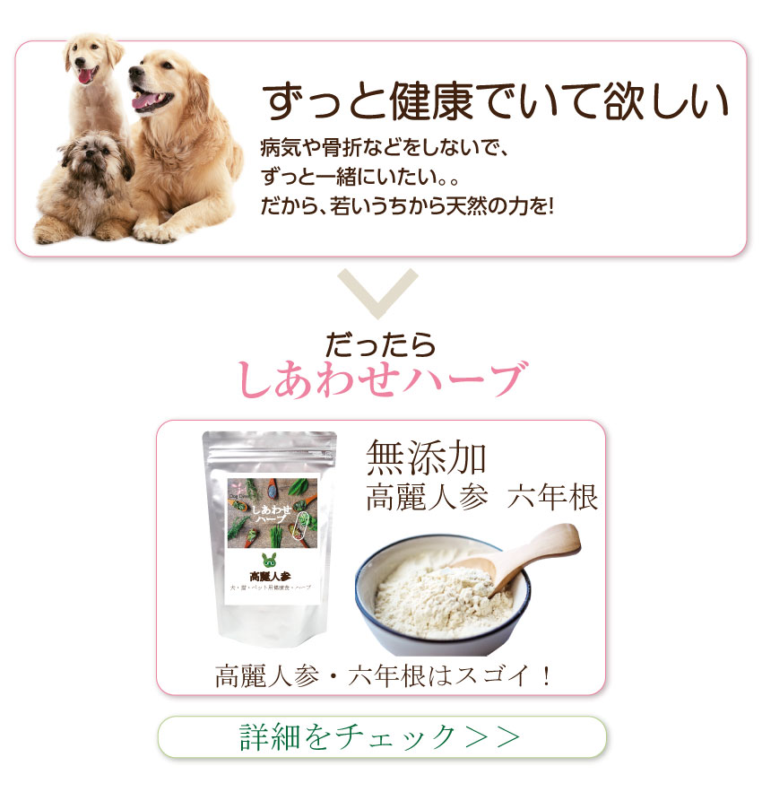 ���Y���E�L�@�E�p�Z��