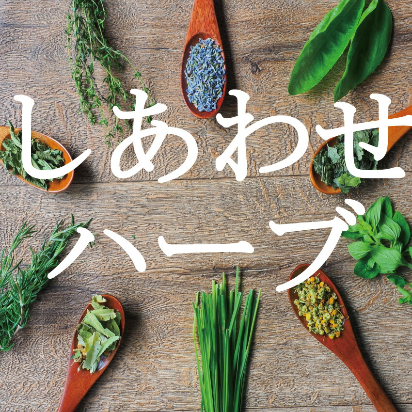 ���p�E�n�[�u