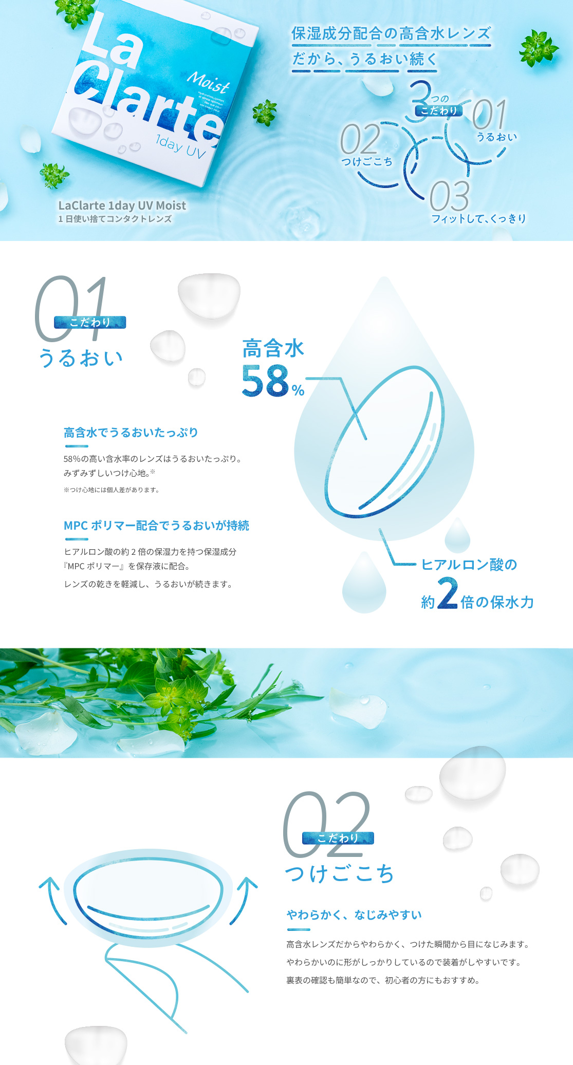 �N�����e