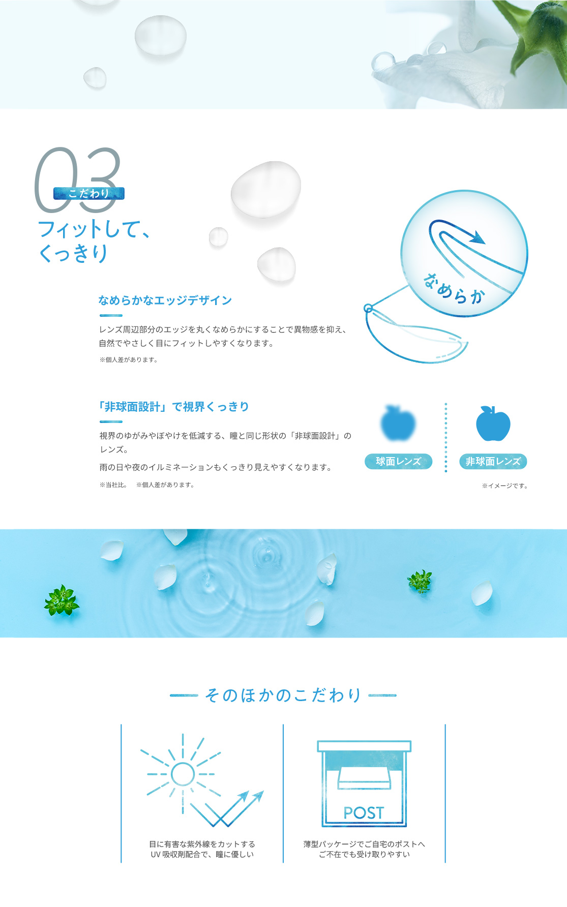 �N�����e