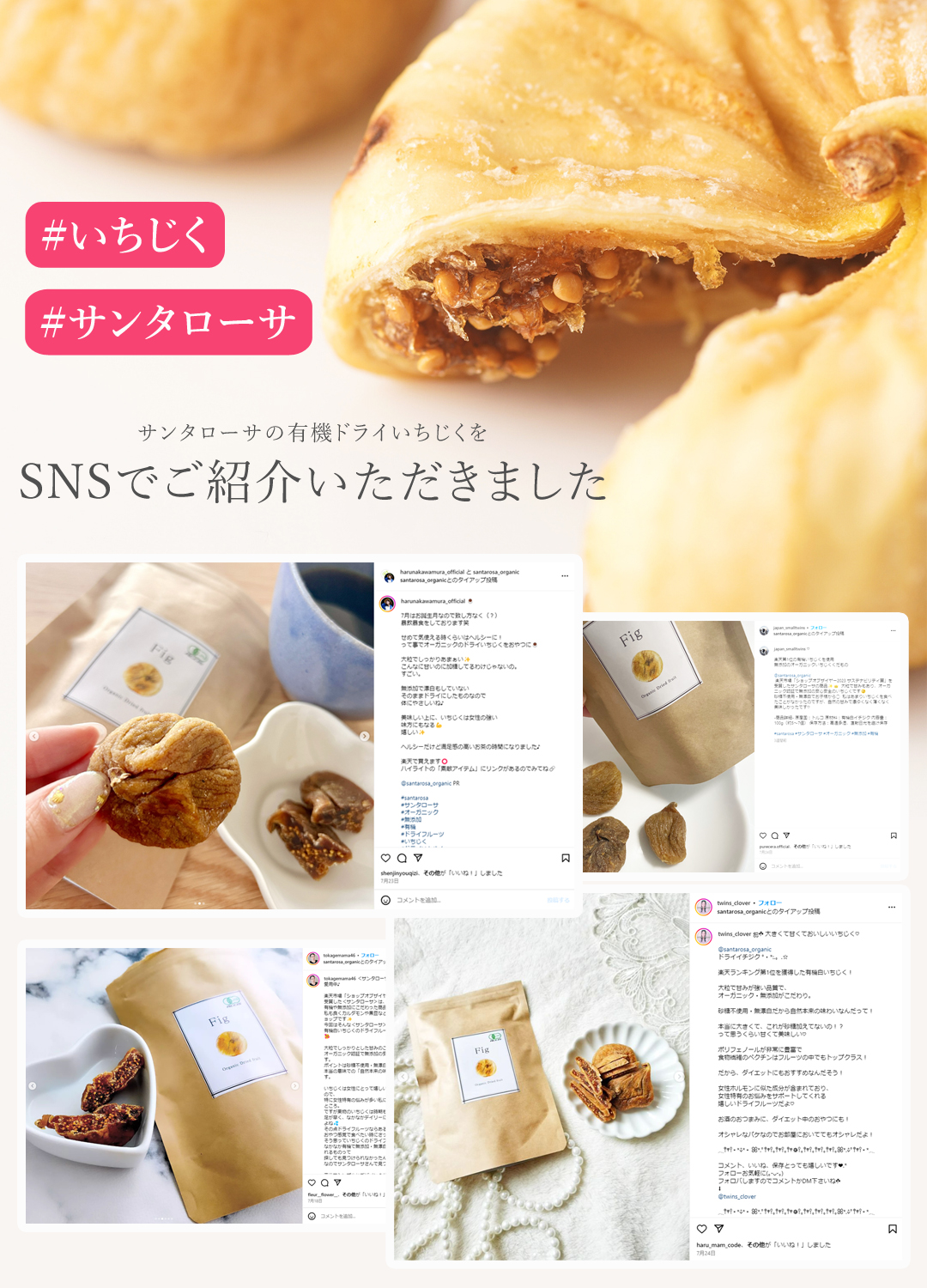 有機栽培 オーガニック いちじく