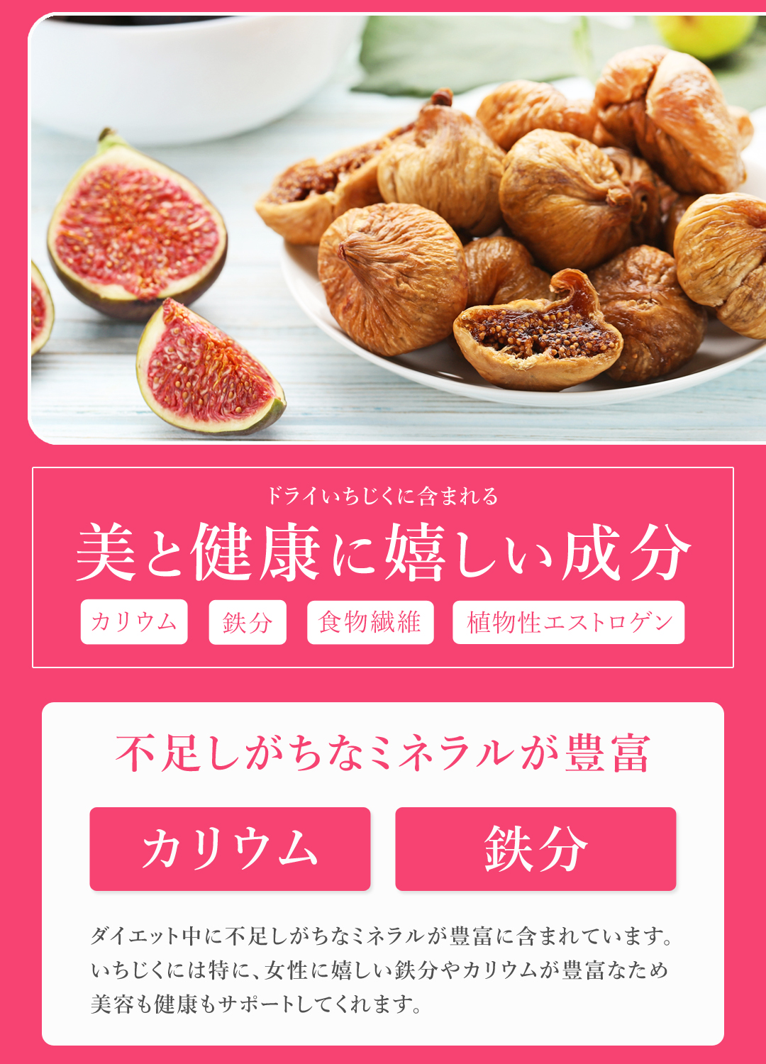 有機栽培 オーガニック いちじく