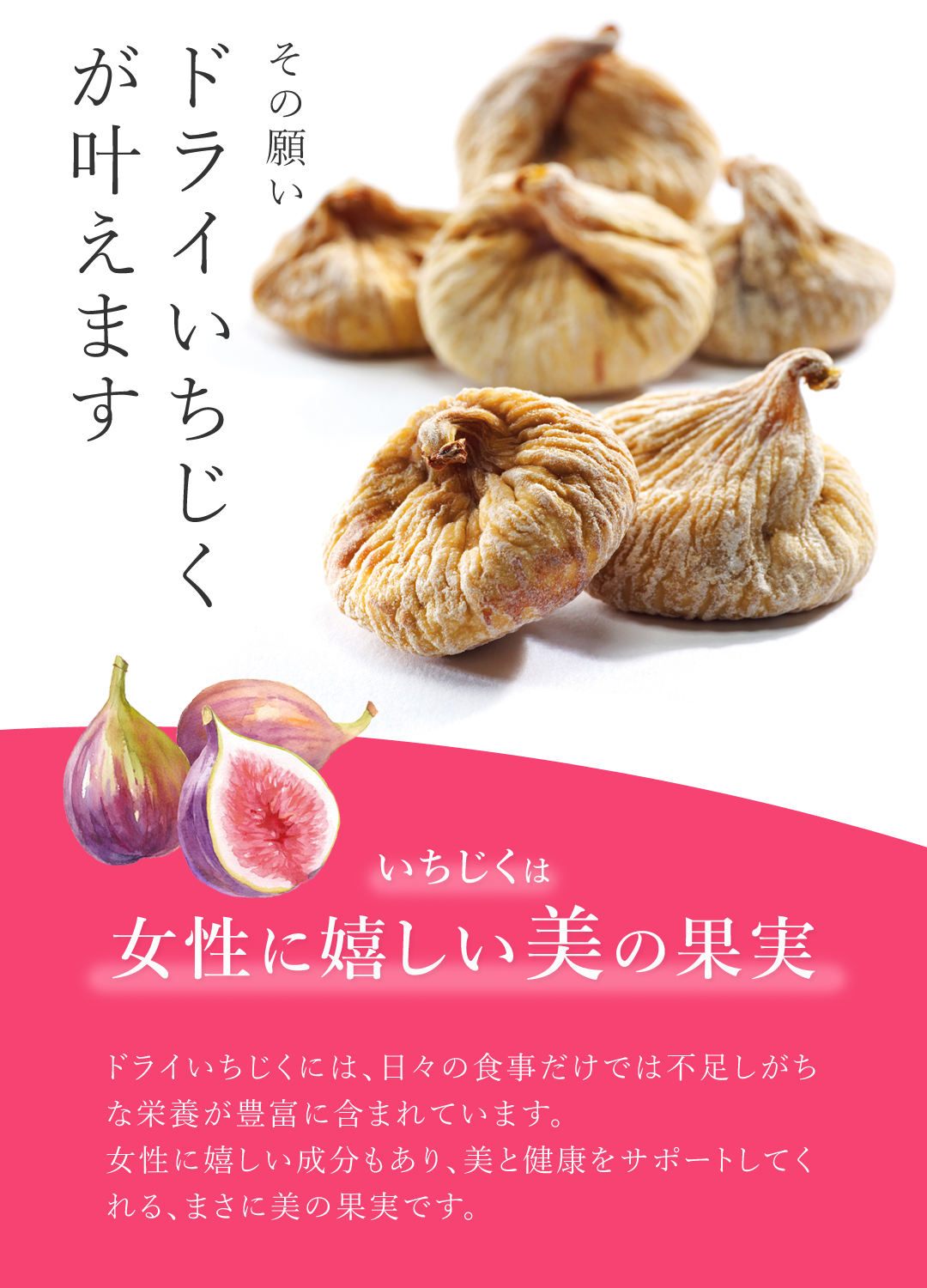 有機栽培 オーガニック いちじく