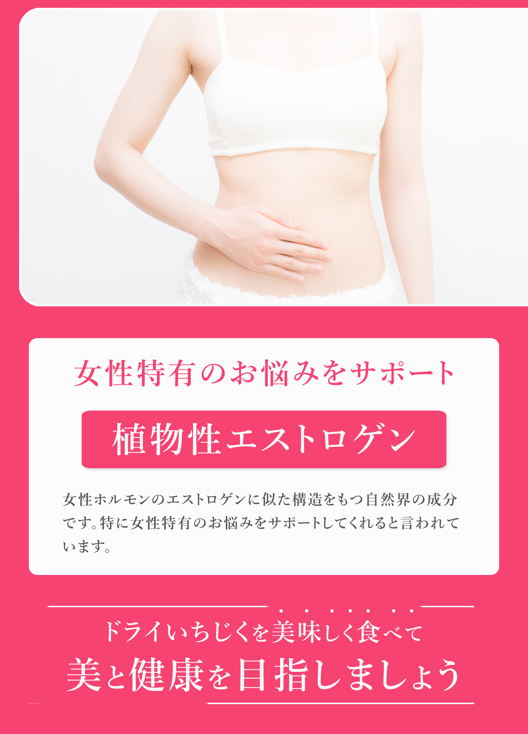 有機栽培 オーガニック いちじく