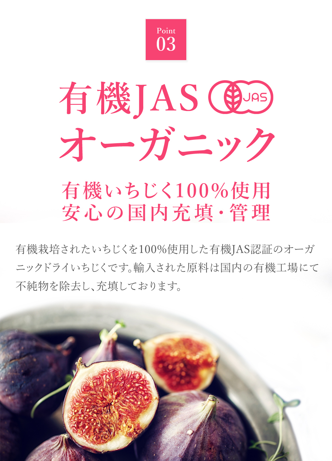 有機栽培 オーガニック いちじく