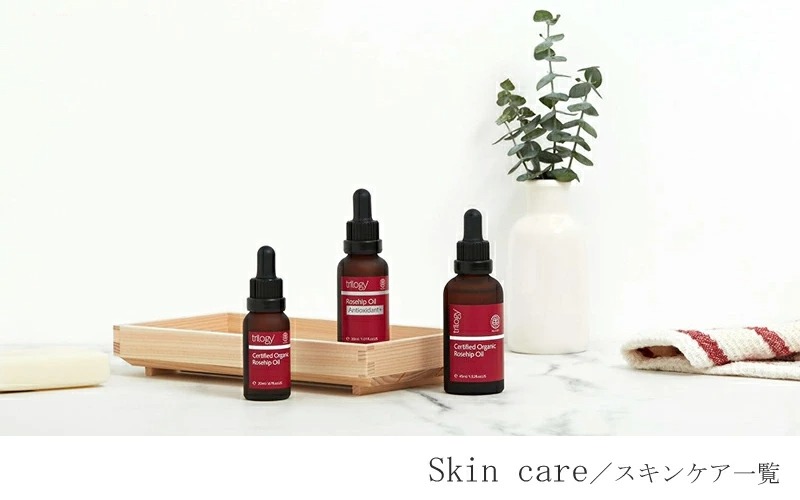 �X�L���P�A