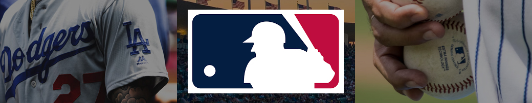 MLB(���W���[���[�O�x�[�X�{�[��)���K�㗝�X�ɂ������ʔ�