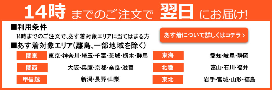 本物保証2023 JVC マーケット - PREMOA au PAY マーケット店|商品ロットナンバー:458856890 RD-W1-N ゴールド の通販はau PAY 最新作SALE