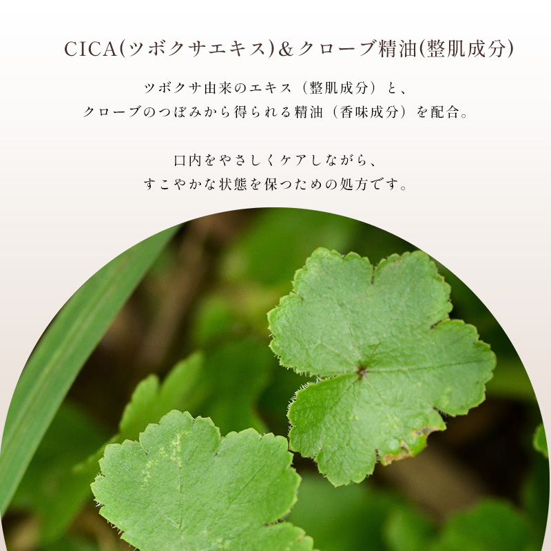 CICA(�c�{�N�T�G�L�X)���N���[�u����