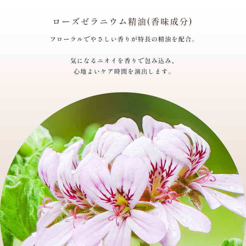 ���[�Y�[���j�E������