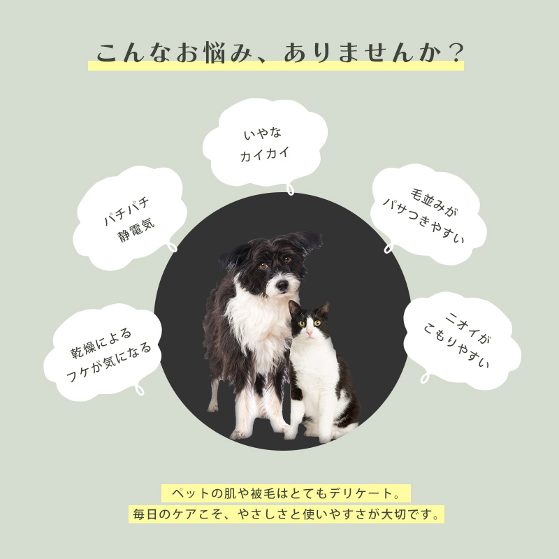 ����Ȃ��Y�݁A����܂��񂩁H