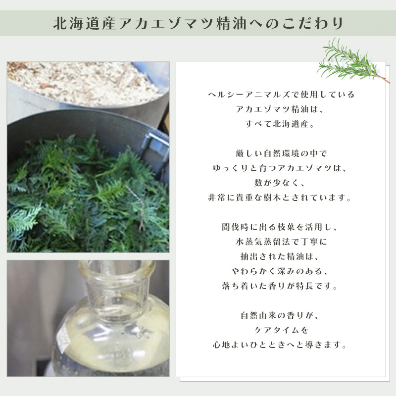 �k�C���Y�A�J�G�]�}�c�����ւ̂������