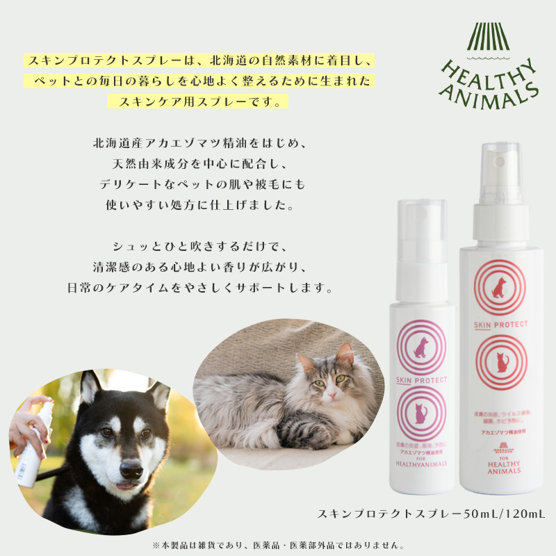 �X�L���v���e�N�g�X�v���[