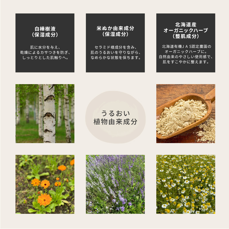 ���邨���A���R������