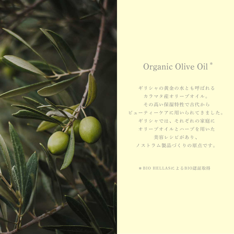 Organic Olive Oil