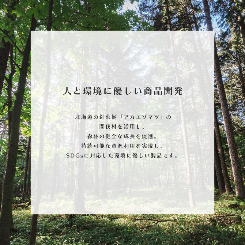 �l�Ɗ��ɗD�������i�J��