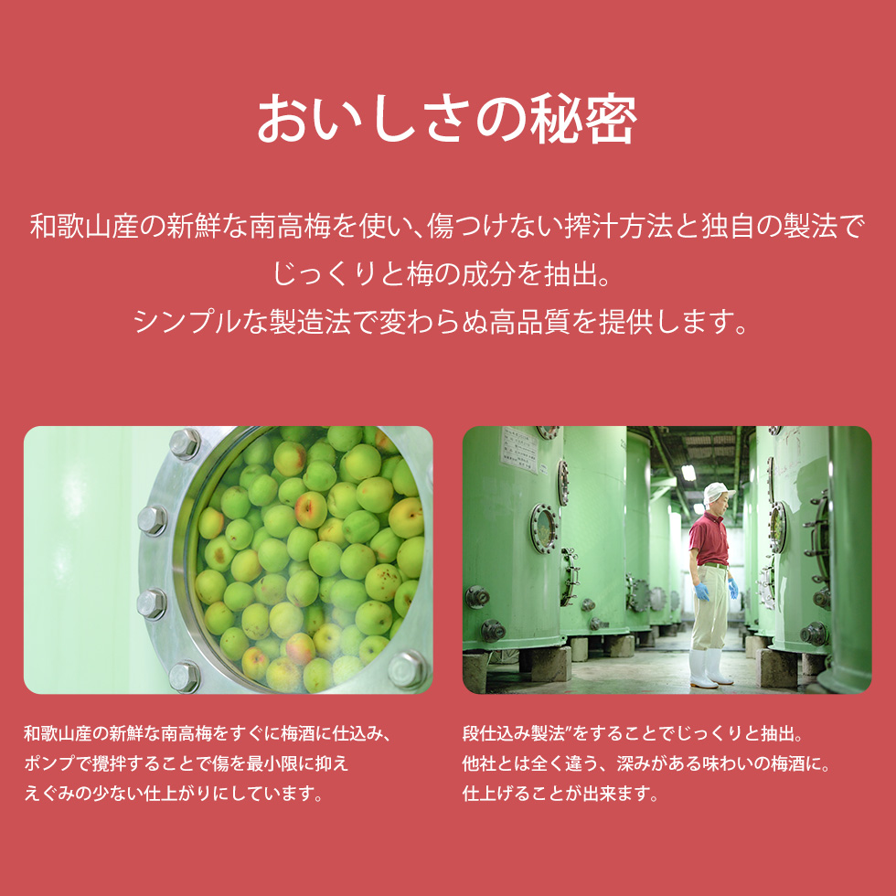���������̔閧�Ƃ��āA�a�̎R�Y�̐V�N�ȓ썂�~���g�����V���v���Ȑ����@���Љ��Ă��܂��B�~�̒Ђ����݂�i�d���ݐ��@�̗l�q���ʐ^�Ŏ�����Ă��܂��B