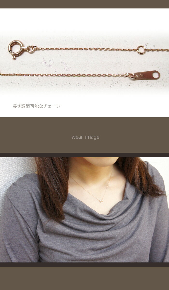 pl-dpcpl-10308