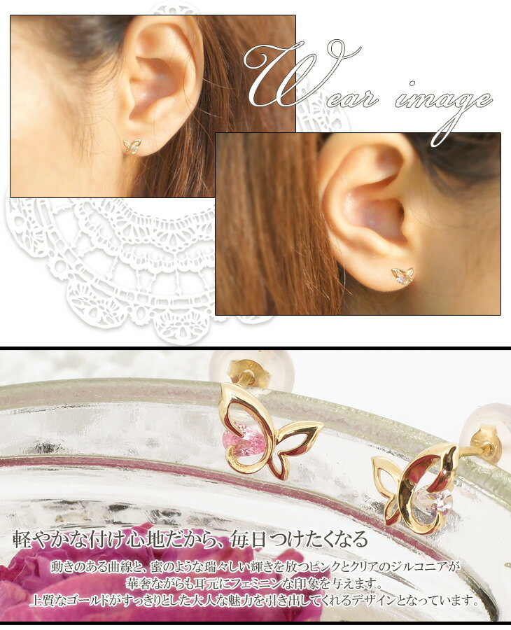 fs-dlge012