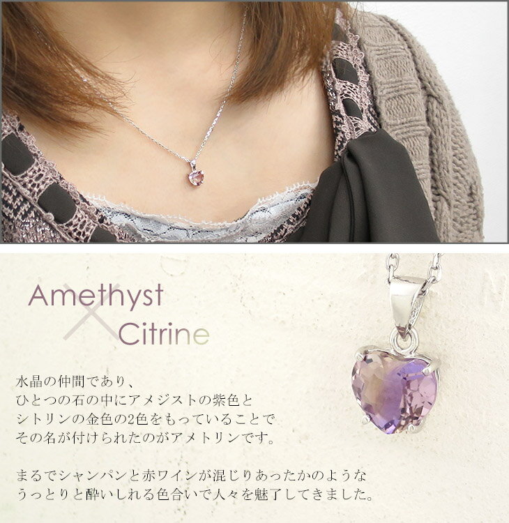 amt-t211