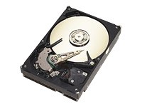 【中古品】Seagate Barracuda 7200.7 Disque Dur Interne 200 Go(中古品)