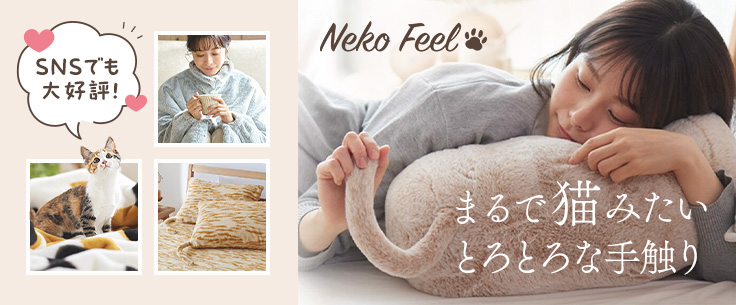 猫フィール