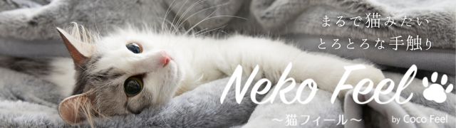 猫フィール
