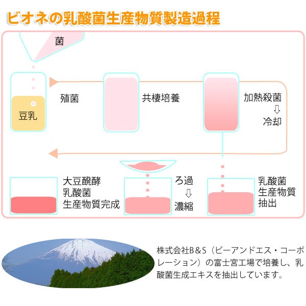 乳酸菌生産物質ビオネの製法と製造過程