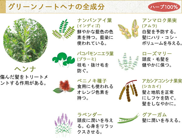 �O���[���m�[�g�w���i�Ƒ��̃w�i�̈Ⴂ���āH