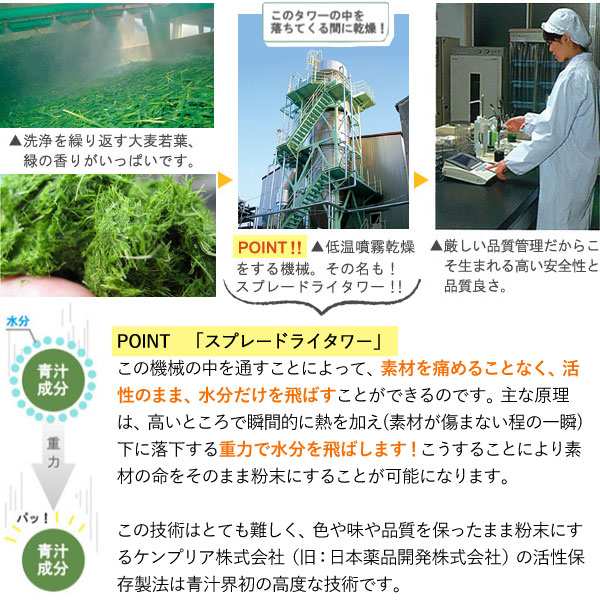 �������S���̂ƕi���̗ǂ��ő唞��t�̌��c