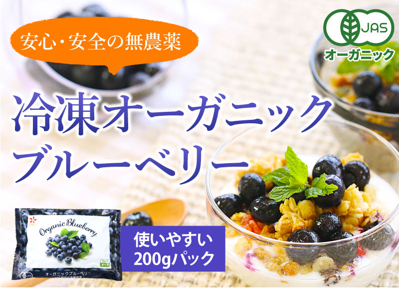 �I�[�K�j�b�N�u���[�x���[