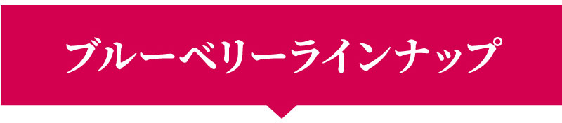 �u���[�x���[���C���i�b�v�͂�����