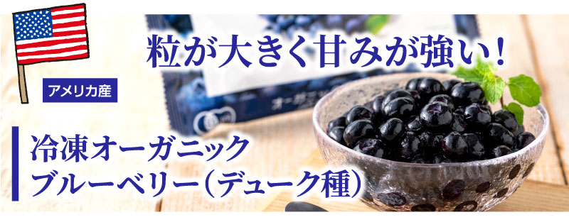 �I�[�K�j�b�N�u���[�x���[�i�f���[�N��j