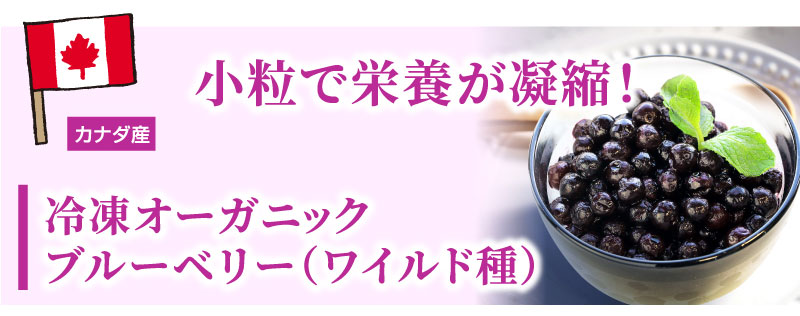 �I�[�K�j�b�N�u���[�x���[�i���C���h��j