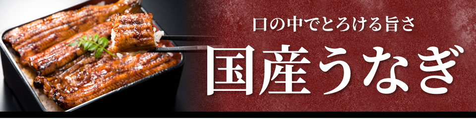 国産うなぎ