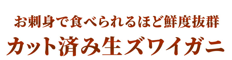 �J�b�g�ς݃Y���C�K�j