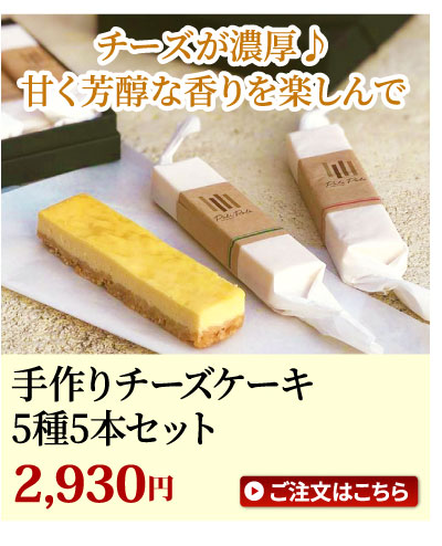 ����`�[�Y�P�[�L