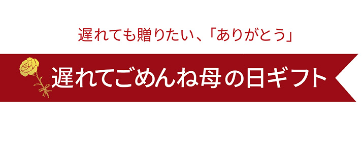 遅れてごめんね母の日ランキング