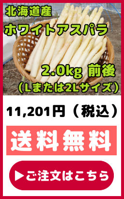 �k�C���Y�z���C�g�A�X�p���K�X 2kg �O�� L�܂���2L�T�C�Y