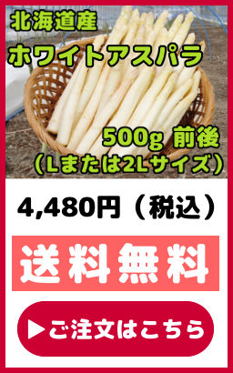 �k�C���Y�z���C�g�A�X�p���K�X 500g �O�� L�܂���2L�T�C�Y