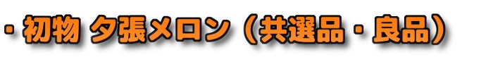 �E���� �[�������� ���I�i �Ǖi