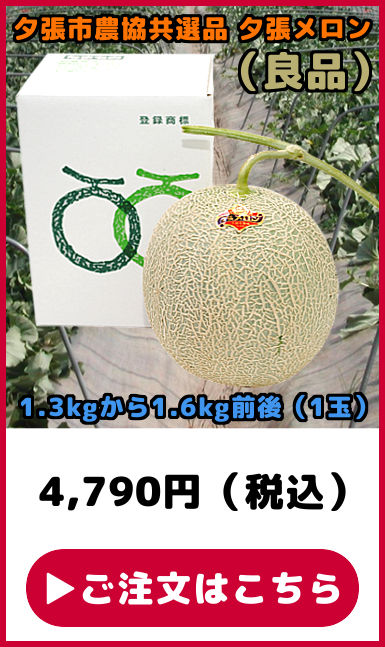 ���I�i �[�������� �Ǖi 1��