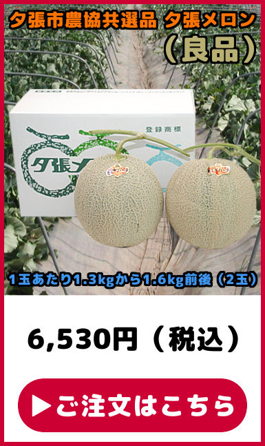 ���I�i �[�������� �Ǖi 2��