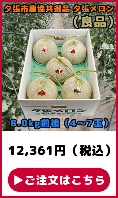 ���I�i �[�������� �Ǖi 8kg 4�ʂ���7��