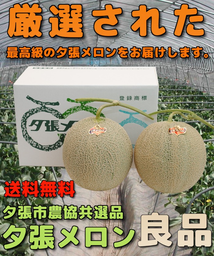 �������� �[�������� �[���s�_�� ���I�i �Ǖi