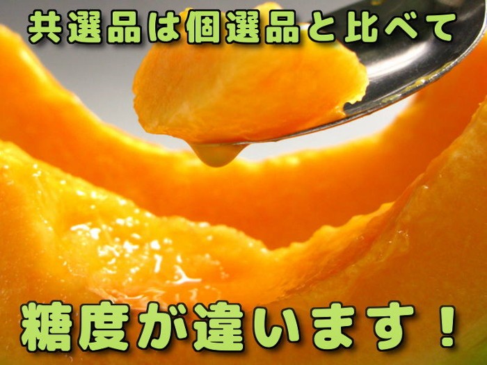 ���I�i�͓��x���Ⴂ�܂��I