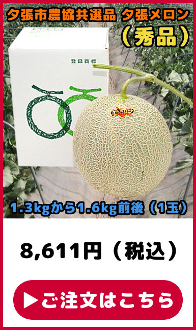 ���I�i �[�������� �G�i 1��