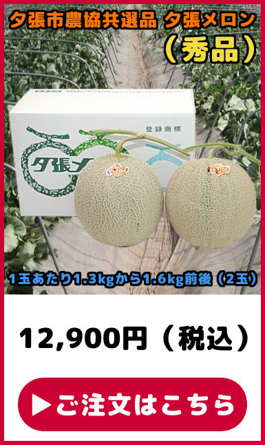 ���I�i �[�������� �G�i 2��